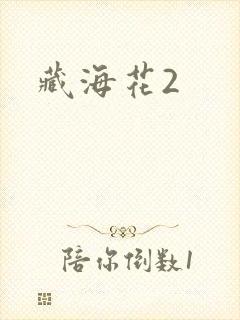 藏海花2
