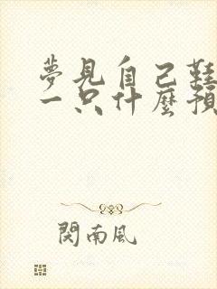 梦见自己鞋丢了一只什么预兆