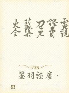 火蓝刀锋电视剧全集免费观看高清封面