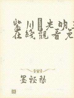 紫川·光明三杰在线观看免费高清完整版封面