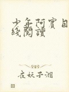 少年阿宾目录在线阅读