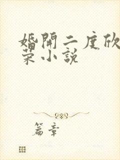 婚开二度欣欣向荣小说