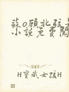 苏o顾北弦最新小说免费阅读