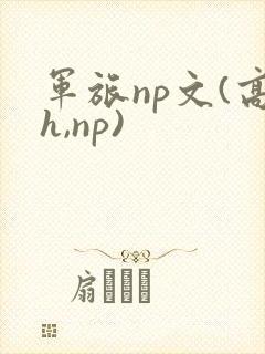 军旅np文(高h,np)