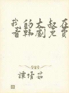 我的大叔在线观看韩剧免费完整版封面