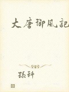 大唐御风记封面