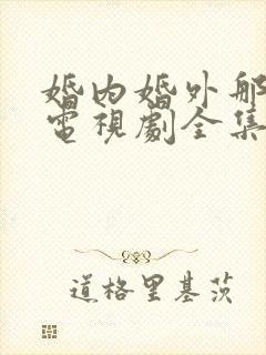 婚内婚外那些事电视剧全集免费观看高清封面