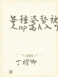 各种姿势被陌生人np高h入室文封面