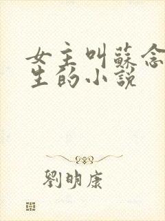 女主叫苏念是医生的小说