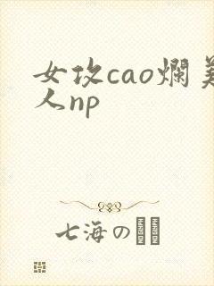 女攻cao烂美人np