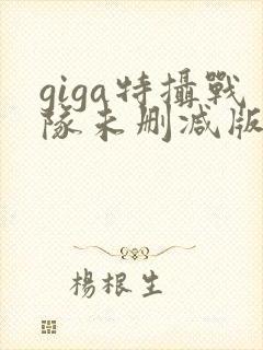 giga特摄战队未删减版