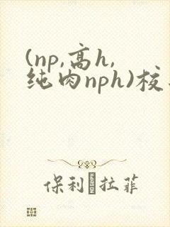 (np,高h,纯肉nph)校园封面