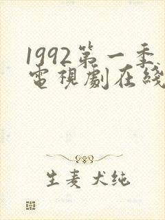 1992第一季电视剧在线观看全集免费封面