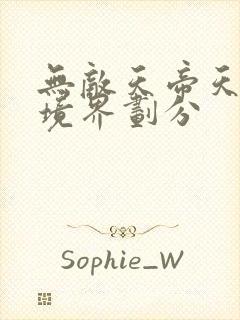 无敌天帝天苍界境界划分