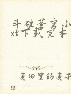 斗破苍穹小说txt下载完本