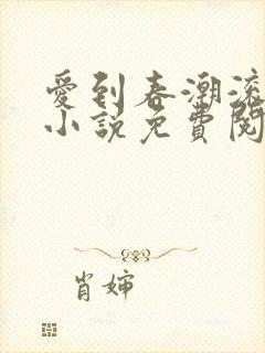 爱到春潮滚滚来小说免费阅读