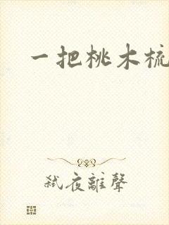 一把桃木梳封面