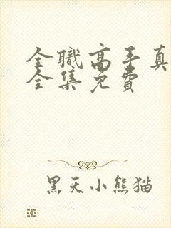 全职高手真人版全集免费