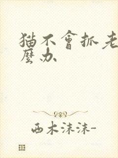 猫不会抓老鼠怎么办封面