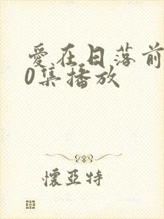 爱在日落前100集播放