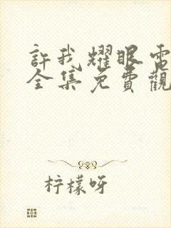 许我耀眼电视剧全集免费观看高清