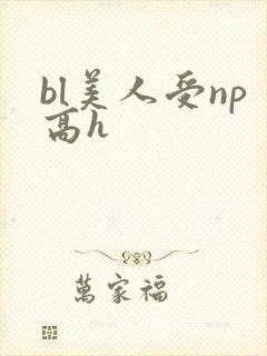 bl美人受np高h