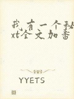 我有一个秘密txt全文加番外