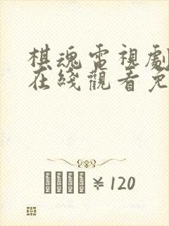 棋魂电视剧全集在线观看免费播放