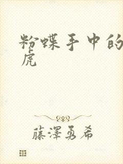 粉蝶手中的纸老虎