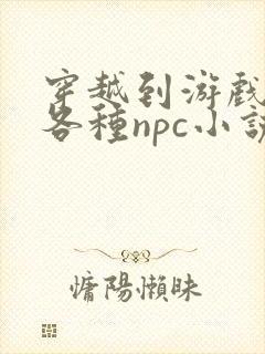 穿越到游戏里和各种npc小说封面