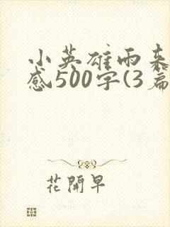 小英雄雨来观后感500字(3篇)