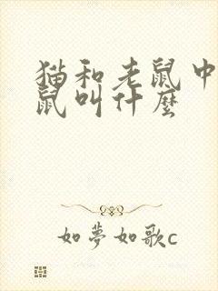 猫和老鼠中的老鼠叫什么