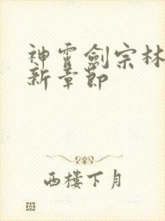 神霄剑宗林枫最新章节封面