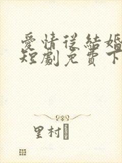 爱情从结婚开始短剧免费下载