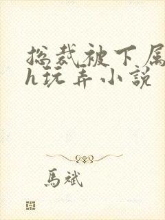 总裁被下属调教h玩弄小说