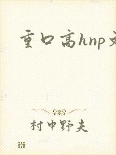 重口高hnp文