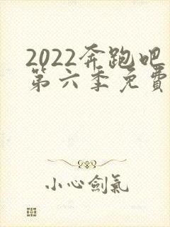 2022奔跑吧第六季免费观看完整版封面