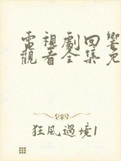 电视剧回响在线观看全集免费播放下载封面