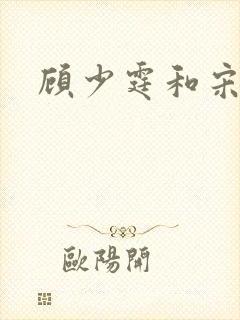 顾少霆和宋斯曼