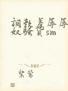 调教羞辱辱骂贱奴骚货sm