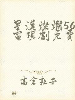 星汉灿烂56集电视剧免费看全集