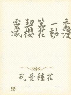 灵契第一季无删减樱花动漫