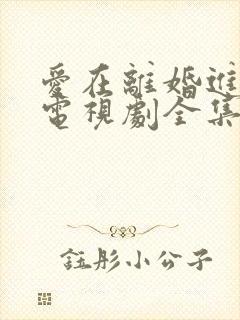 爱在离婚进行时电视剧全集免费观看