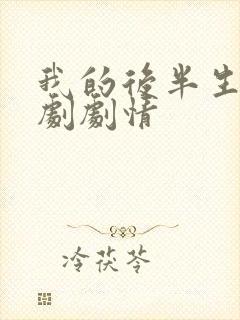 我的后半生电视剧剧情