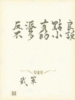 反派有点良心但不多的小说封面