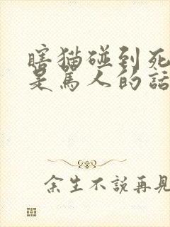 瞎猫碰到死耗子是骂人的话吗