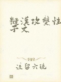 糙汉攻双性受生子文