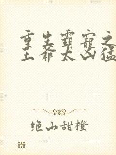 重生霸宠之摄政王爷太凶猛