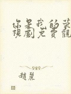 你是我的荣耀电视剧免费观看完整封面