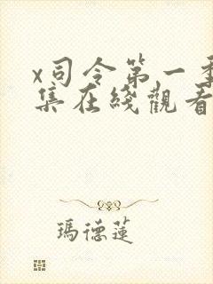 x司令第一季全集在线观看完整版真人